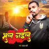 About Bhul Gailu Song